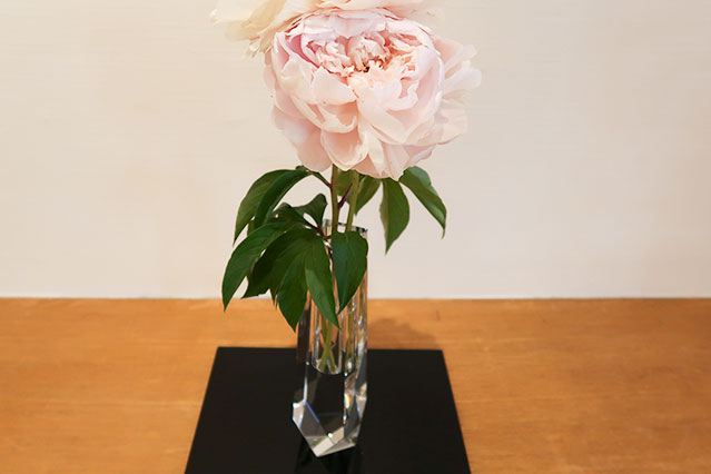 当院に飾られている生花