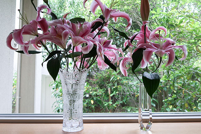 当院に飾られている生花