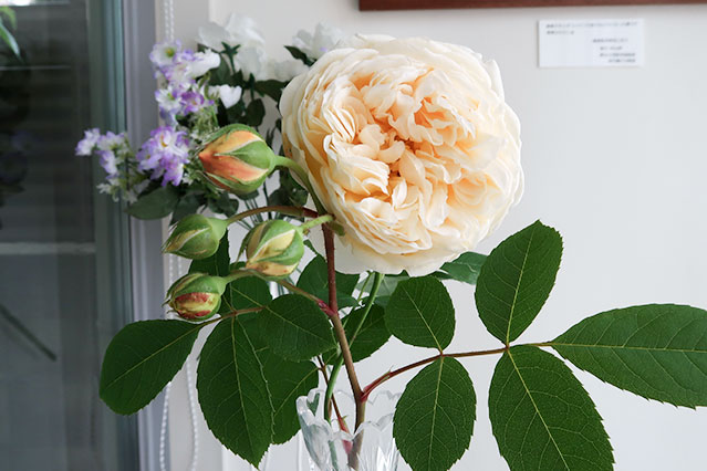 当院に飾られている生花