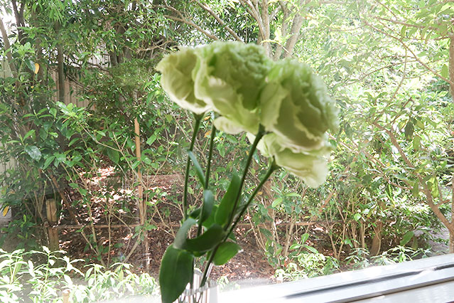 当院に飾られている生花