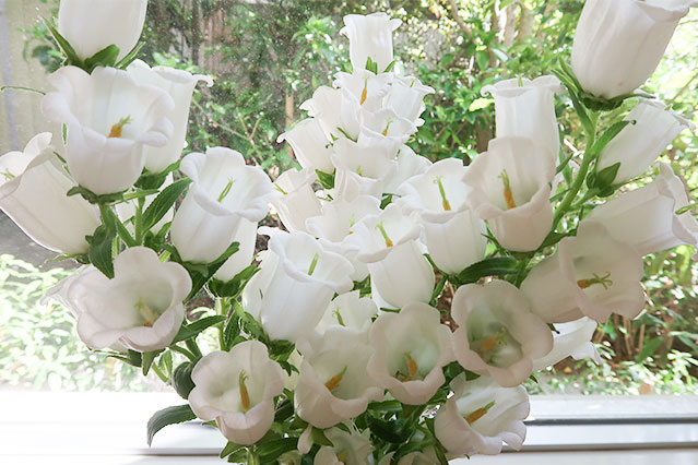 当院に飾られている生花