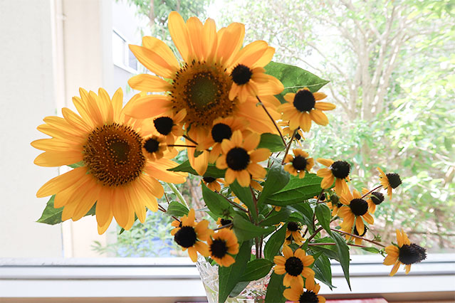 当院に飾られている生花