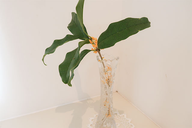 当院に飾られている生花