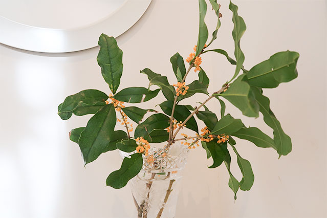 当院に飾られている生花