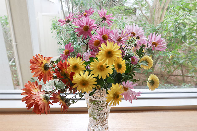 当院に飾られている生花