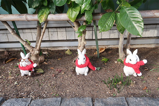 当院で飾れている生花