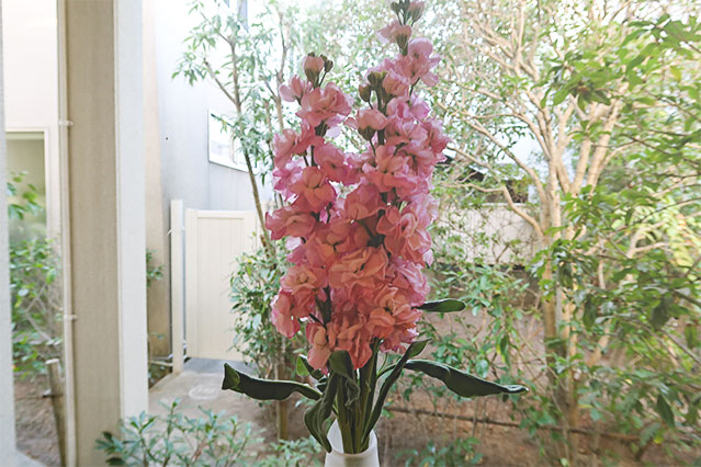 当院に飾られている生花