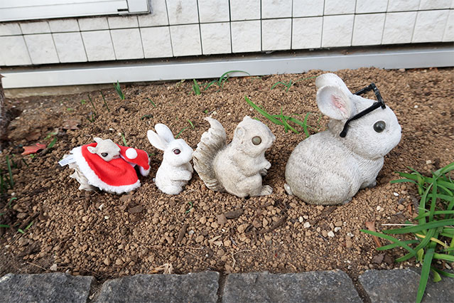 当院で飾れている生花